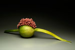 Allium Pod Sculpture