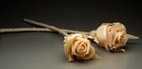 Ivory Roses Sculpture